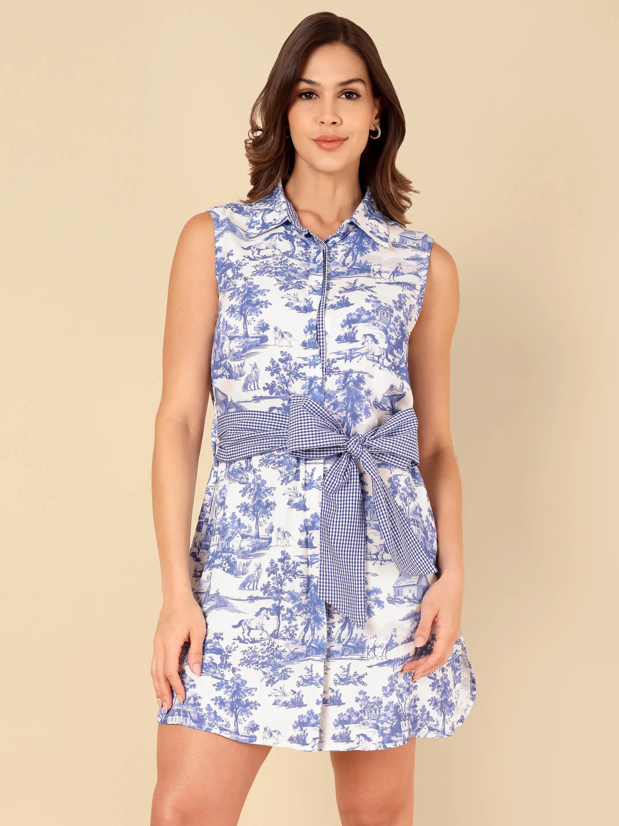 Toile Sleeveless Shirt Dress