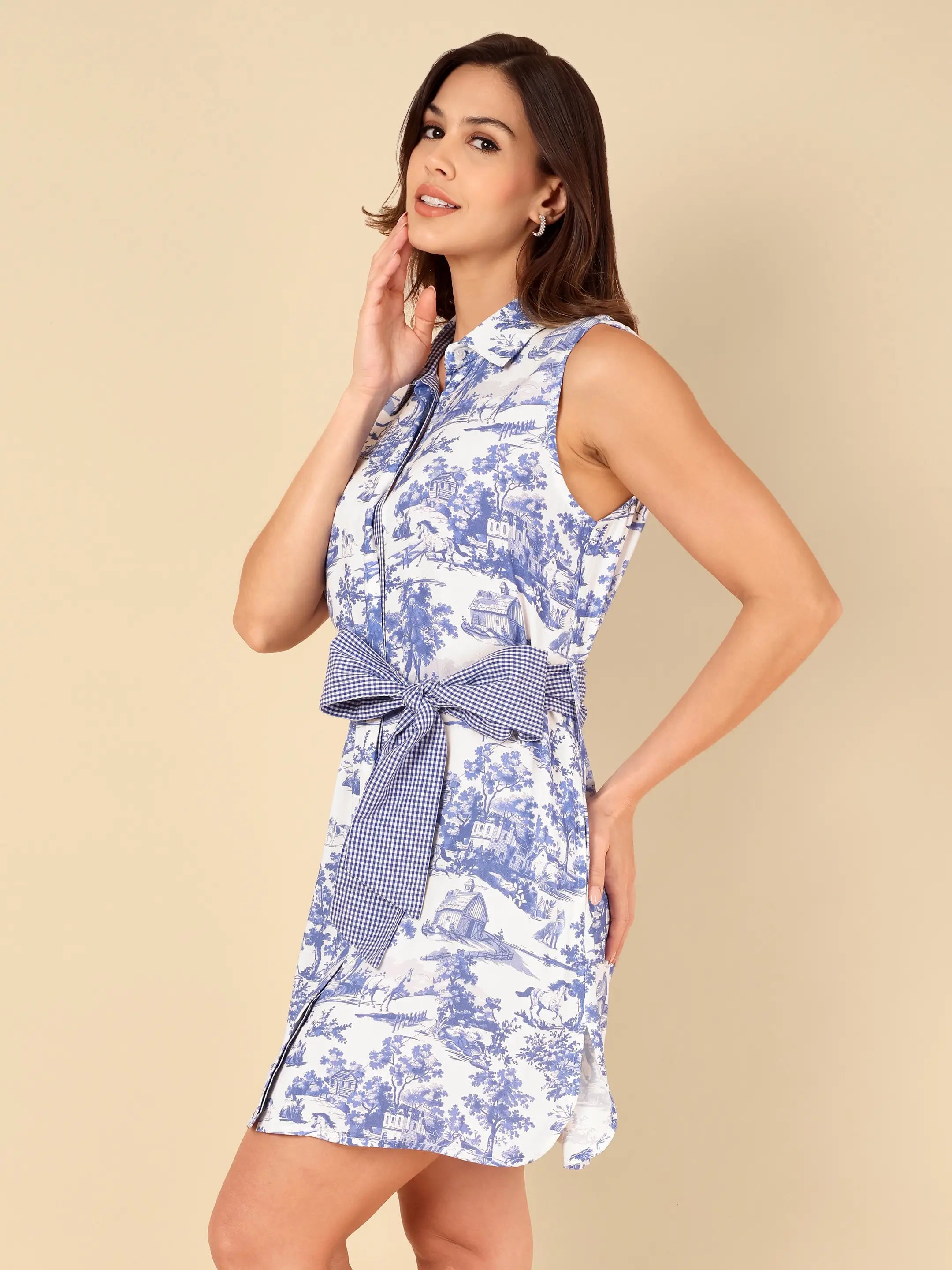 Toile Sleeveless Shirt Dress