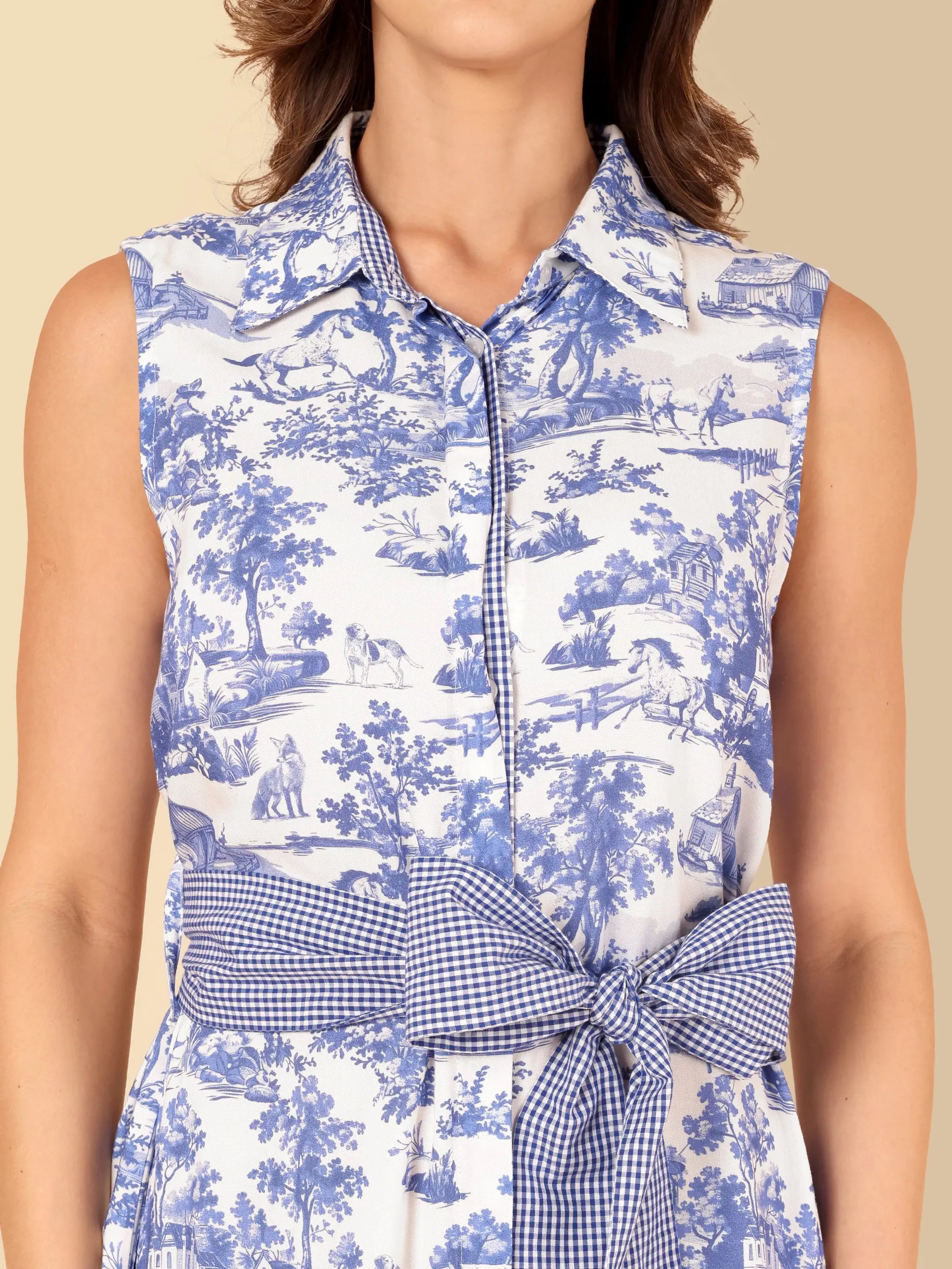 Toile Sleeveless Shirt Dress